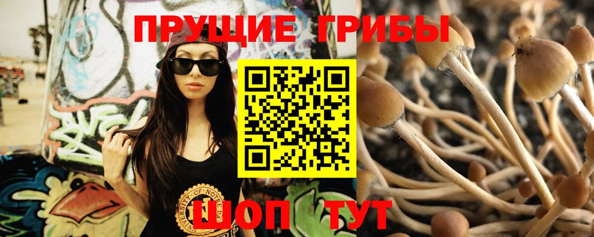 наркотики  Псилоцибиновые грибы мицелий  Псилоцибиновые грибы прущие грибы  Вход с VPN  Георгиевск 