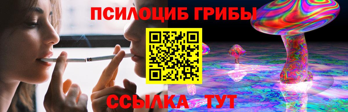 Галлюциногенные грибы Psilocybe Георгиевск